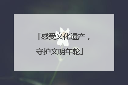 感受文化遗产，守护文明年轮