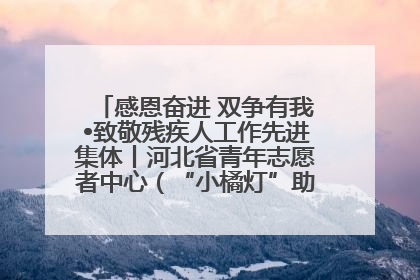 感恩奋进 双争有我•致敬残疾人工作先进集体丨河北省青年志愿者中心（“小橘灯”助残接力计划实施团队）：用温暖陪伴，守护特殊孩子成长
