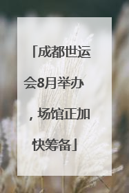 成都世运会8月举办，场馆正加快筹备