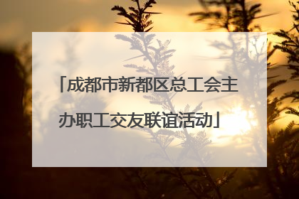 成都市新都区总工会主办职工交友联谊活动