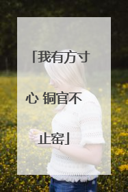 我有方寸心 铜官不止窑