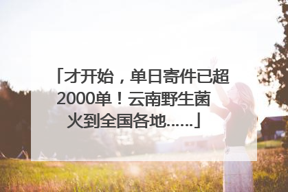才开始，单日寄件已超2000单！云南野生菌火到全国各地……