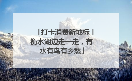 打卡消费新地标丨衡水湖边走一走，有水有鸟有乡愁