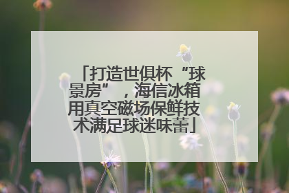 打造世俱杯“球景房”，海信冰箱用真空磁场保鲜技术满足球迷味蕾