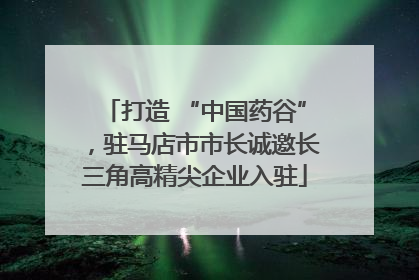 打造 “中国药谷”，驻马店市市长诚邀长三角高精尖企业入驻