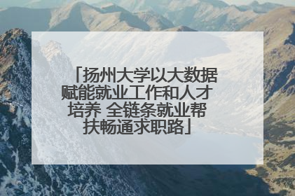 扬州大学以大数据赋能就业工作和人才培养 全链条就业帮扶畅通求职路