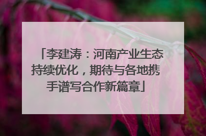 李建涛：河南产业生态持续优化，期待与各地携手谱写合作新篇章