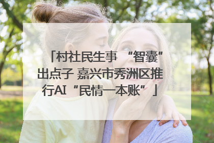 村社民生事 “智囊”出点子 嘉兴市秀洲区推行AI“民情一本账”