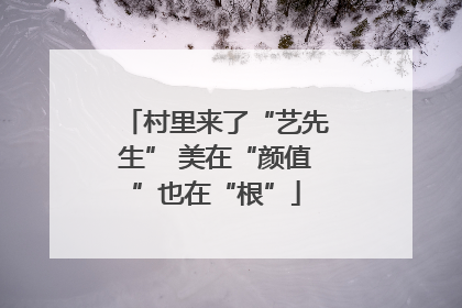 村里来了“艺先生” 美在“颜值”也在“根”