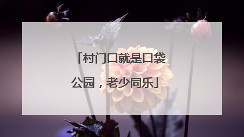 村门口就是口袋公园，老少同乐