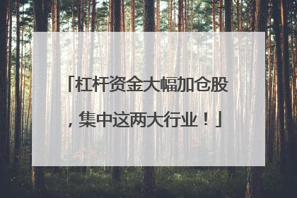 杠杆资金大幅加仓股，集中这两大行业！