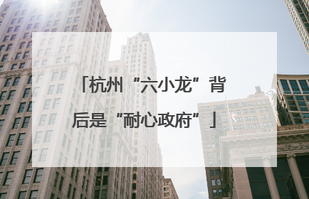 杭州“六小龙”背后是“耐心政府”