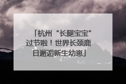 杭州“长腿宝宝”过节啦！世界长颈鹿日邂逅新生幼崽