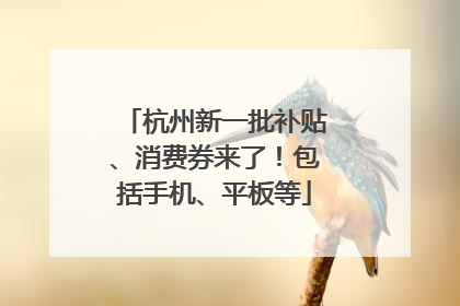 杭州新一批补贴、消费券来了！包括手机、平板等