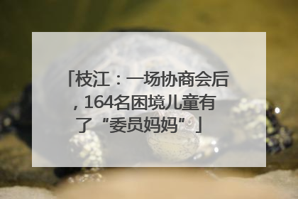 枝江：一场协商会后，164名困境儿童有了“委员妈妈”