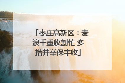 枣庄高新区:麦浪千重收割忙 多措并举保丰收