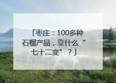 枣庄：100多种石榴产品，靠什么“七十二变”？