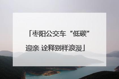 枣阳公交车“低碳”迎亲 诠释别样浪漫