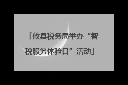 攸县税务局举办“智税服务体验日”活动