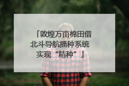 敦煌万亩棉田借北斗导航播种系统实现“精种”