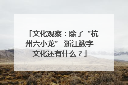 文化观察：除了“杭州六小龙” 浙江数字文化还有什么？