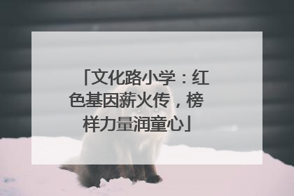 文化路小学：红色基因薪火传，榜样力量润童心