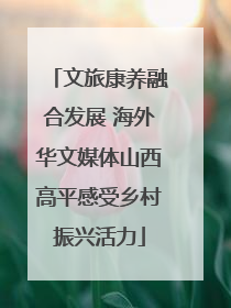 文旅康养融合发展 海外华文媒体山西高平感受乡村振兴活力