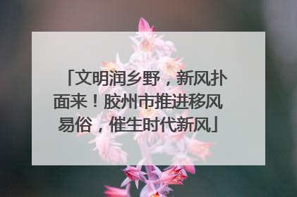 文明润乡野，新风扑面来！胶州市推进移风易俗，催生时代新风