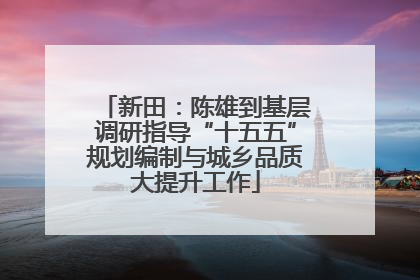 新田：陈雄到基层调研指导“十五五”规划编制与城乡品质大提升工作