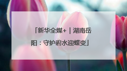 新华全媒+｜湖南岳阳：守护碧水迎蝶变