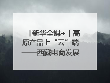 新华全媒+｜高原产品上“云”端——西藏电商发展一线观察