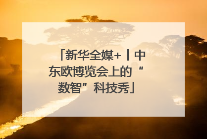 新华全媒+丨中东欧博览会上的“数智”科技秀