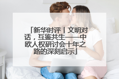 新华时评丨文明对话，互鉴共生——中欧人权研讨会十年之路的深刻启示