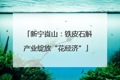 新宁崀山：铁皮石斛产业绽放“花经济”