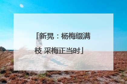 新晃：杨梅缀满枝 采梅正当时