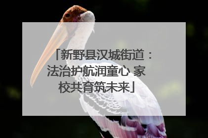 新野县汉城街道：法治护航润童心 家校共育筑未来