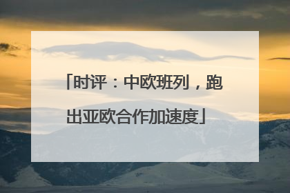 时评：中欧班列，跑出亚欧合作加速度