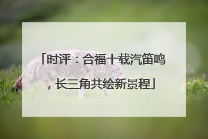 时评：合福十载汽笛鸣，长三角共绘新景程