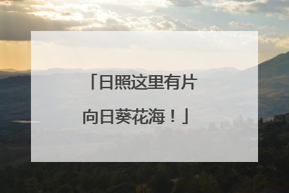 日照这里有片向日葵花海！