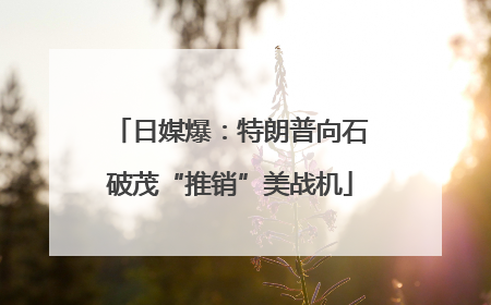 日媒爆：特朗普向石破茂“推销”美战机