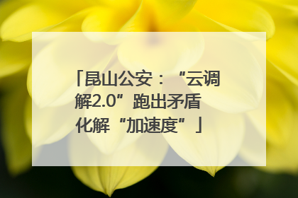 昆山公安：“云调解2.0”跑出矛盾化解“加速度”