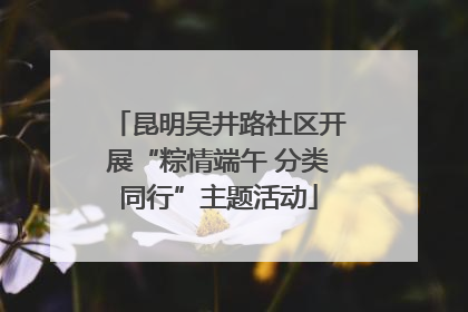 昆明吴井路社区开展“粽情端午 分类同行”主题活动