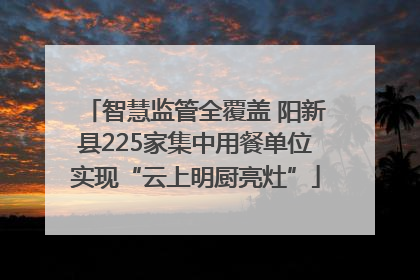 智慧监管全覆盖 阳新县225家集中用餐单位实现“云上明厨亮灶”