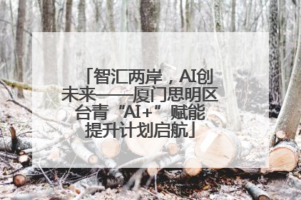 智汇两岸，AI创未来——厦门思明区台青“AI+”赋能提升计划启航