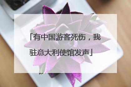 有中国游客死伤，我驻意大利使馆发声