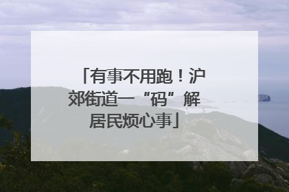 有事不用跑！沪郊街道一“码”解居民烦心事
