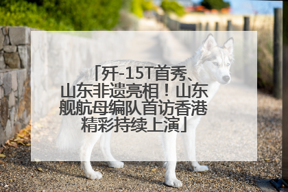 歼-15T首秀、山东非遗亮相！山东舰航母编队首访香港精彩持续上演