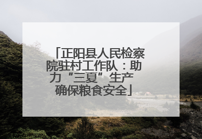 正阳县人民检察院驻村工作队：助力“三夏”生产 确保粮食安全