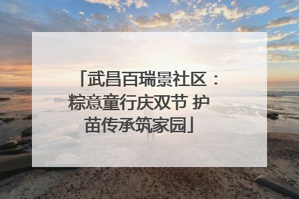 武昌百瑞景社区：粽意童行庆双节 护苗传承筑家园