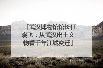武汉博物馆馆长任晓飞：从武汉出土文物看千年江城变迁
